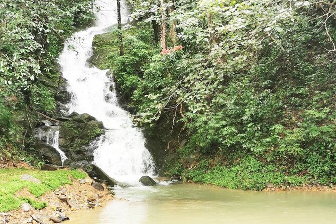 Khao Sok National Park Hiking and Bamboo Raft Tour From Khao Lak - FAQs  