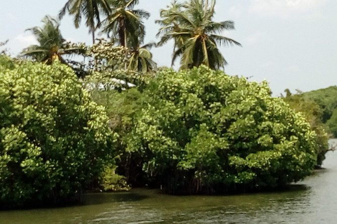 Koggala Lake Boat Tour - FAQ