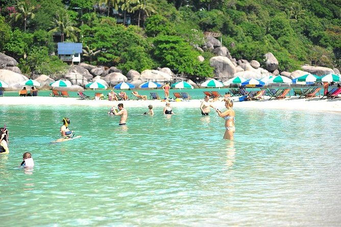 Koh Tao & Koh Nangyuan by Speed Boat (Snorkeling trip from Koh Samui) - FAQs