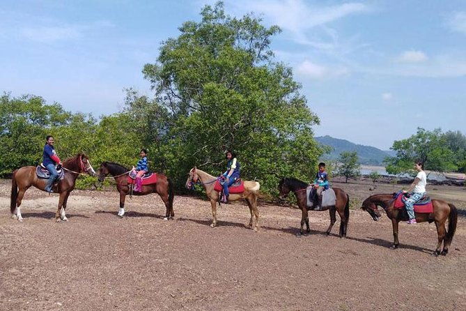 Krabi Horse Riding at The Beach - FAQ