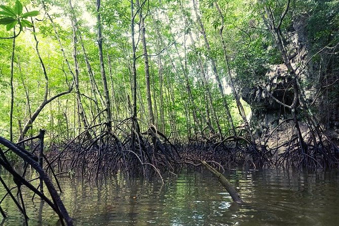 Krabi: Kayaking Tour at Ban Bor Thor Ancient Cave & Mangroves - The Sum Up