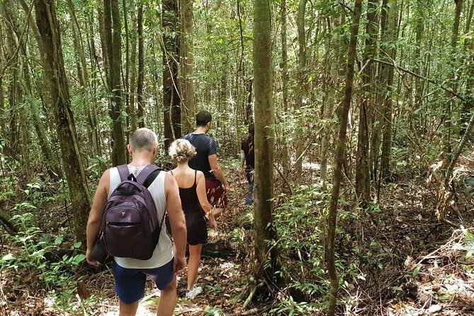 Land Tour 2: Discover the North - Kayaking & Starfish beach Phu Quoc (Not Lunch) - The Sum Up