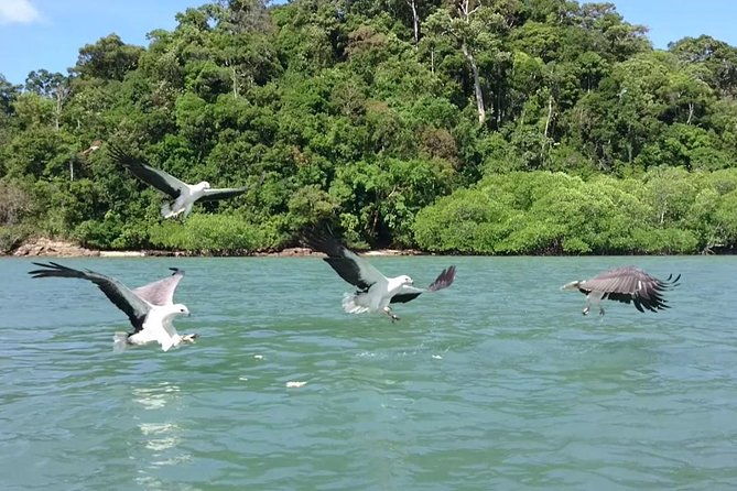 Langkawi Island Hopping Tour with Private Boat & Pickup - Final Thoughts