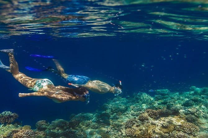 Learn to surf with Fuvahmulah Surf School - The Sum Up: Why Choose Fuvahmulah Surf School?