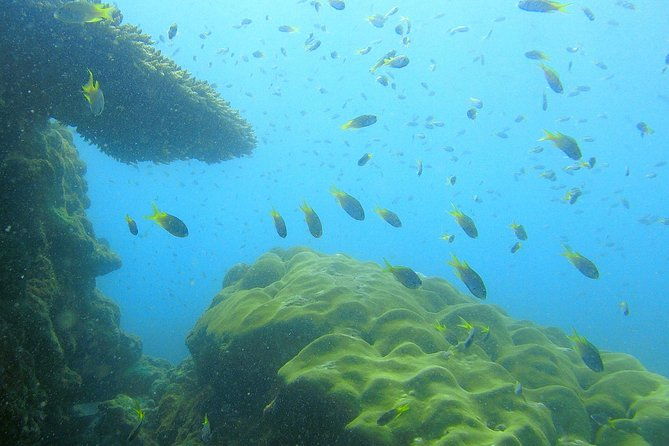 Local Reef Snorkelling and Deserted Beach - Weather and Sea Conditions