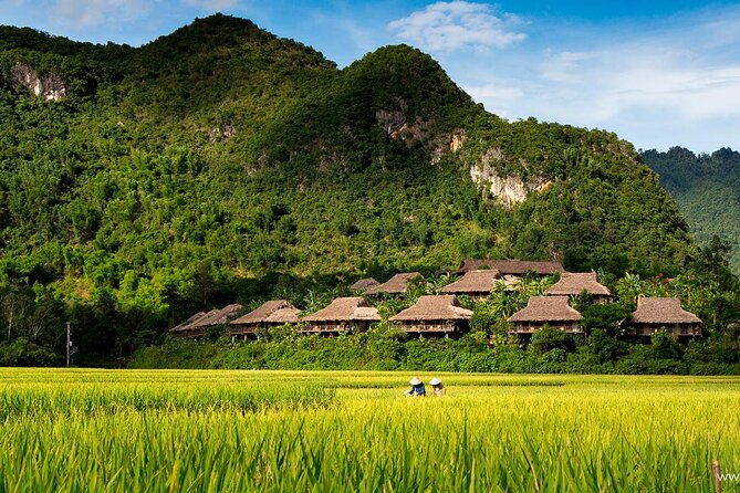 Luxury Mai Chau Day Tour from Hanoi - FAQ