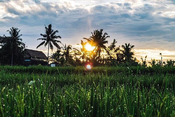 LUXURY Mekong 2 Days 1 Night SMALL GROUP Stay at Tiny Homestay with BBQ Dinner - FAQ