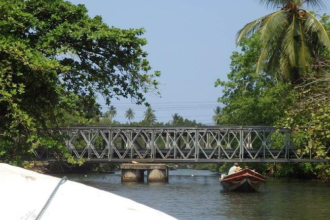 Madu River Boat Safari Balapitiya - Who Will Appreciate This Tour?