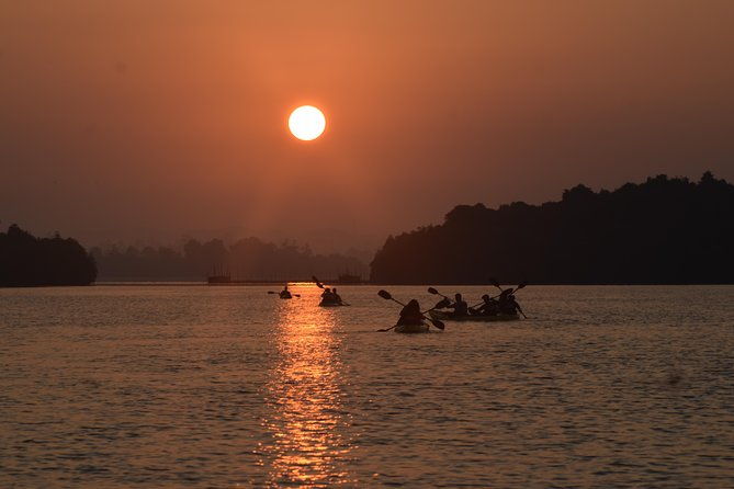 Madu River Sunrise Mangrove Kayaking from Colombo - Authentic Experiences from Reviewers