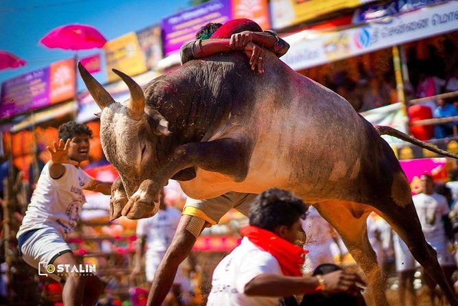 Madurai to Rameswaram Full-Day Tour - FAQ