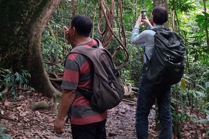 Medan - Bukit Lawang Fullday Tour - The Sum Up
