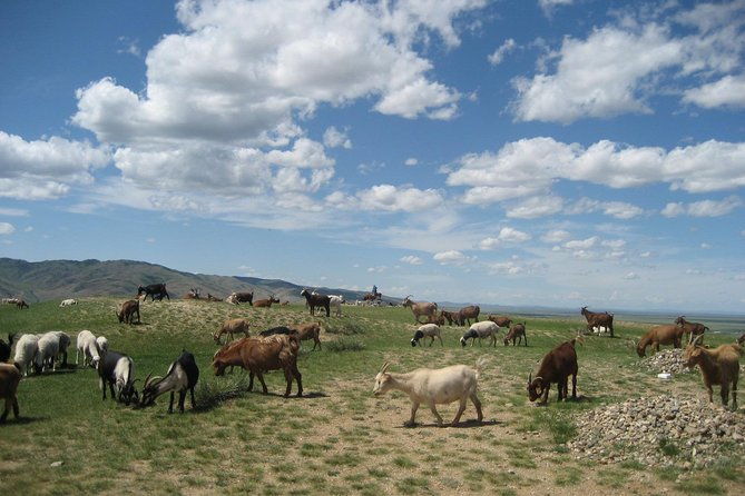 Mini Gobi and the ancient capital Kharkhorin - 4 days - FAQ