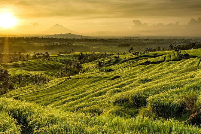 More Complete: Discover Bali In 3 Days Private Tour Package - FAQs