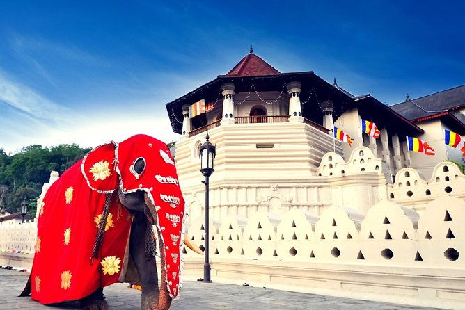 Most Popular Round Tour (5 Days) in Sri Lanka From Mirissa - Final Thoughts