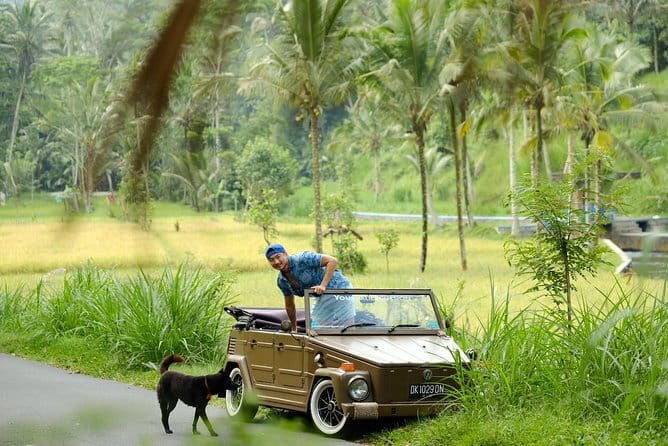 Mount Batur Jeep and Hot Spring Tour - Who Is This Tour Best For?