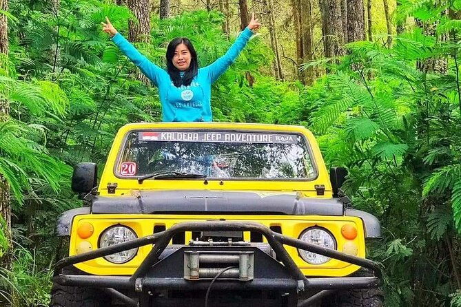 Mount Batur Jeep Tour - Exploring Black Sand and Lava Fields