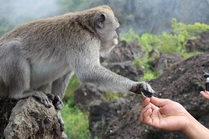 Mount Batur Sunrise Trekking - Who Would Love This Tour?