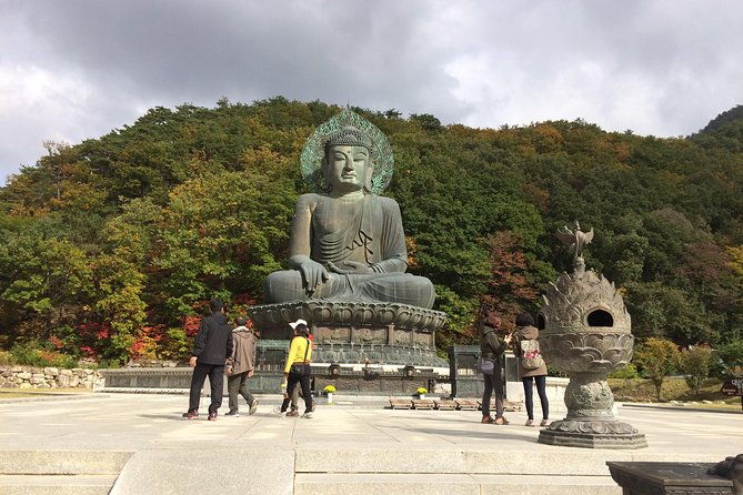 Mt. Seorak+Nami Island+Garden of Morning Calm Day Trip from Seoul - FAQ