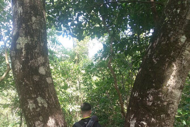 My Son sanctuary and mountain trekking - Final Thoughts