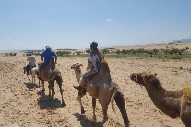 Mysteries of the Gobi Desert - FAQ