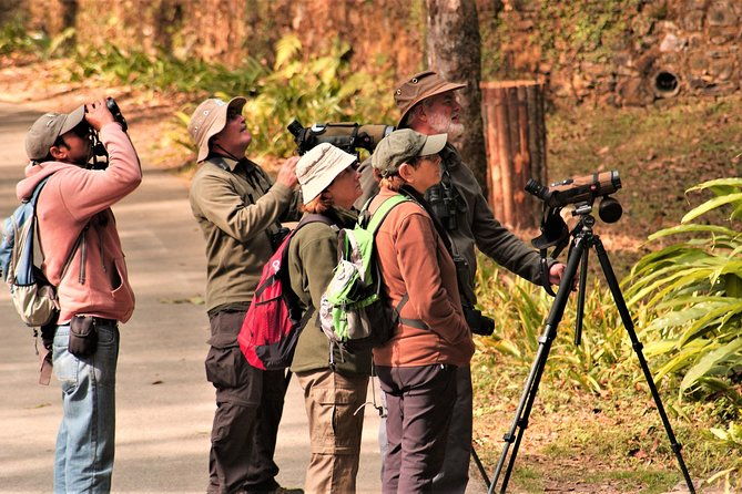Nepal Birding - The Sum Up