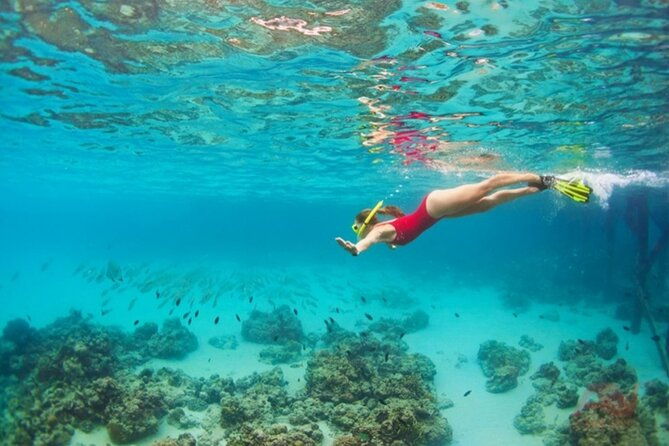 Nha Trang Bay: Explore Half-day Snorkeling at Mun Island - Final Thoughts