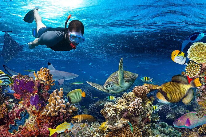 Nha Trang Private Tour To Mini Beach Included Lunch - FAQs