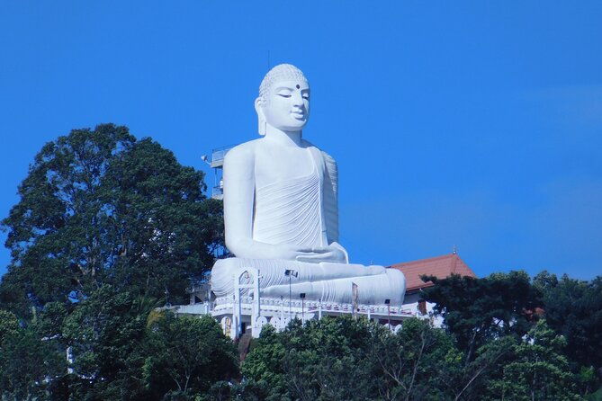 Nice 10 Days Tour in Sri Lanka - Safety & Legitimacy