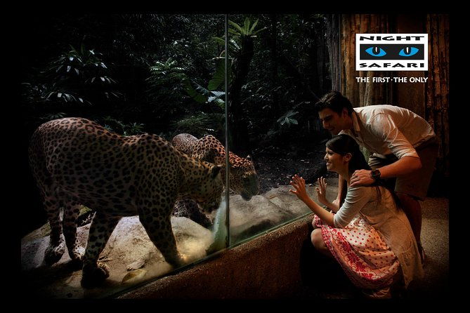 Night Safari Tour with Transfer - Who Will Love This Tour?