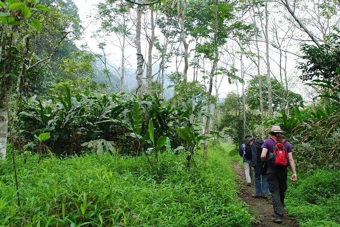 Ninh Binh 2Days/1Night With Boat Trip & Cuc Phuong National Park - FAQ