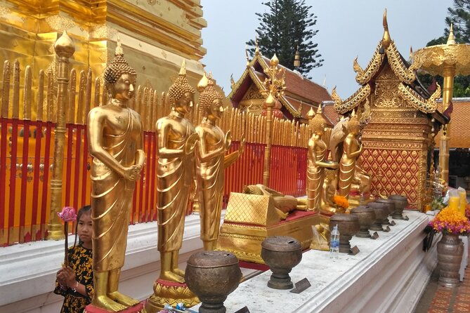 No.1 Chiang Mai: 3-Hour Monk Trail Hike to Wat Doi Suthep & Palad - The Sum Up