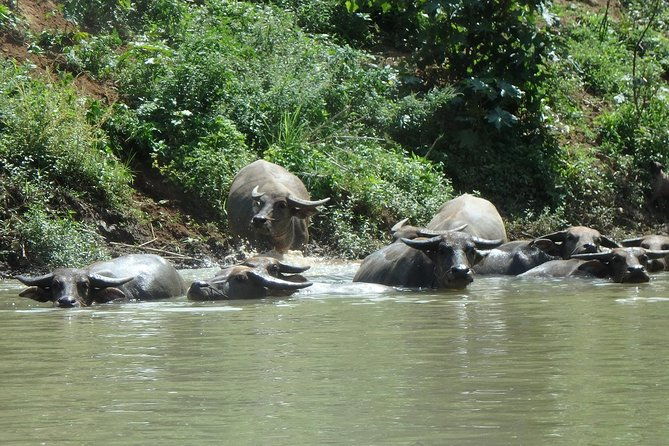 No.1 Chiang Mai: Leisure River Kayaking: Mae Taeng forest Reserve - Final Thoughts