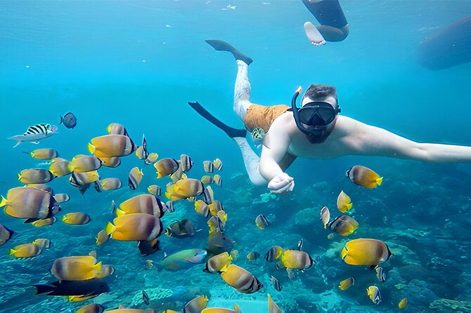 Nusa Penida Island Beach Tour With Snorkeling - Departure From Bali Island - Kelingking Beach: Iconic Clifftop Views