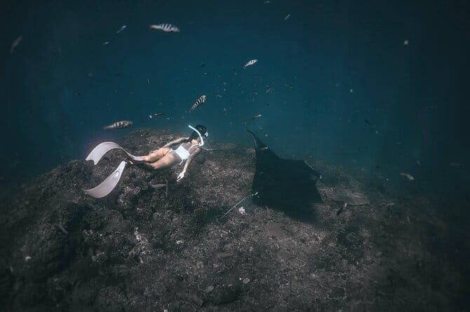 Nusa Penida Snorkeling in Manta Point Gamat Bay and Wall - FAQ