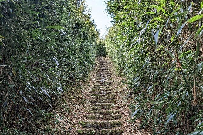 One Day Hike around Taipei's Yangmingshan National Park - FAQs