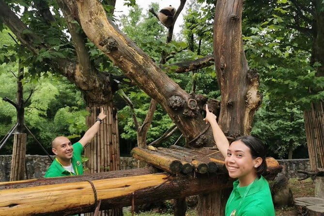 One Day Trip to Chengdu Panda Base and Leshan Buddha Tour - FAQ