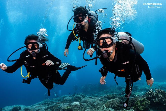 Open Water Course in Tulamben - Get Certified in Bali - The Sum Up: Is It Worth It?