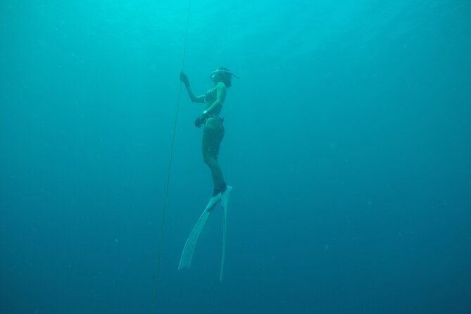 PADI Freediver Course - Why This Course Is Perfect for You