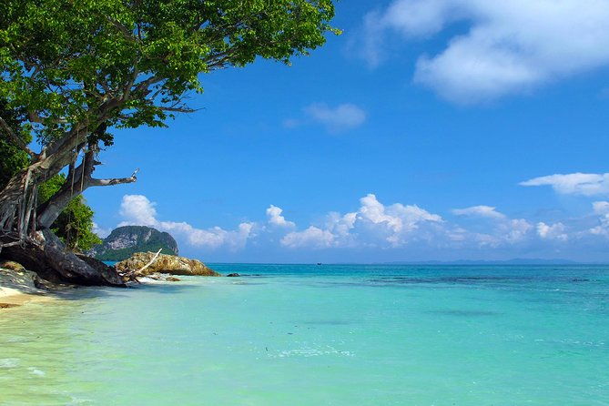 Phi Phi Island by Premium Speedboat with Lunch from Phuket - Who Should Consider This Tour?