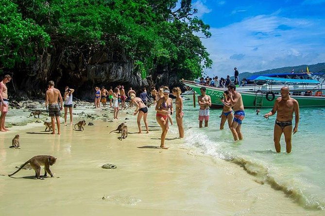 Phi Phi Island Half Day Tour From Phi Phi by Longtail Boat - Final Thoughts