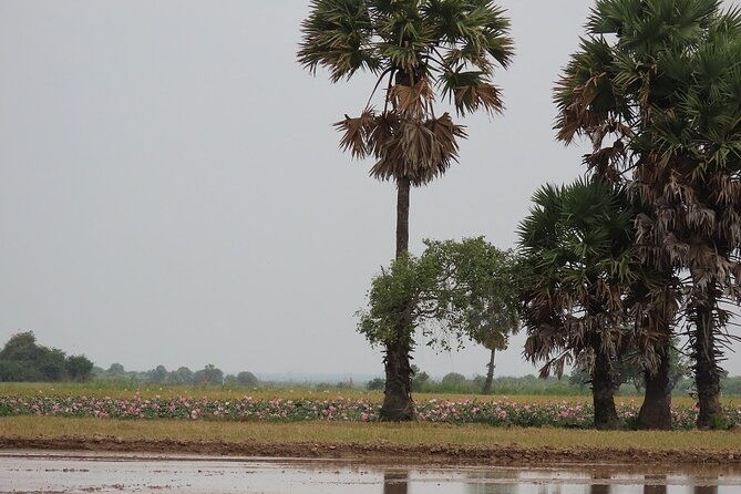 Phnom Penh Countryside Cycle Tour - Frequently Asked Questions
