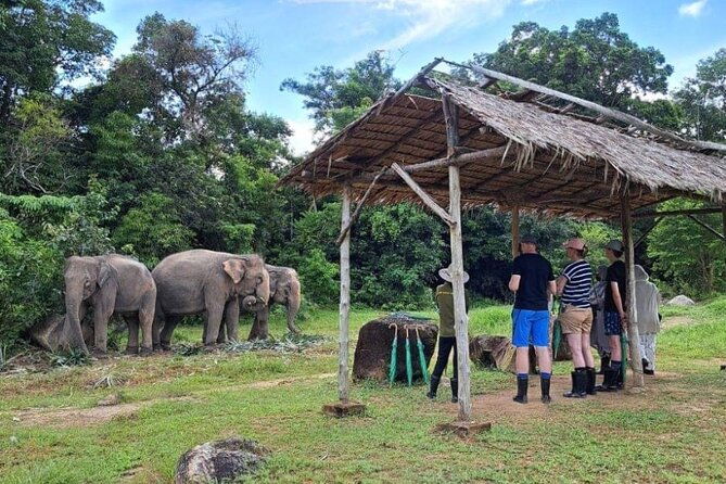 Phuket City Tour & Elephant Sanctuary: Sights, Tastes, Culture - Practical Details: Transportation, Timing, and Group Size