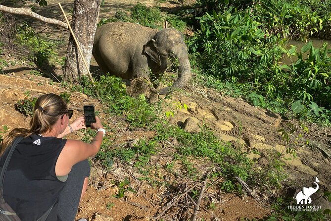 Phuket: Hidden Forest Elephant Reserve Guided Tour with Lunch - Final Thoughts: Who Is This Tour Perfect For?