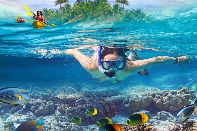 Pig Island Experience By Speed Boat, Snorkeling, Kayaking Relaxing on the Beach - Final Thoughts