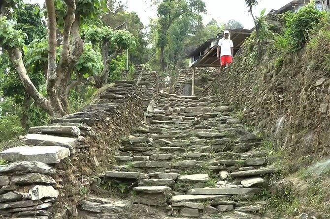 Pokhara: Dhampus Easy Trek for Families with YoungKids 2 Day Tour - Practical Considerations and Tips