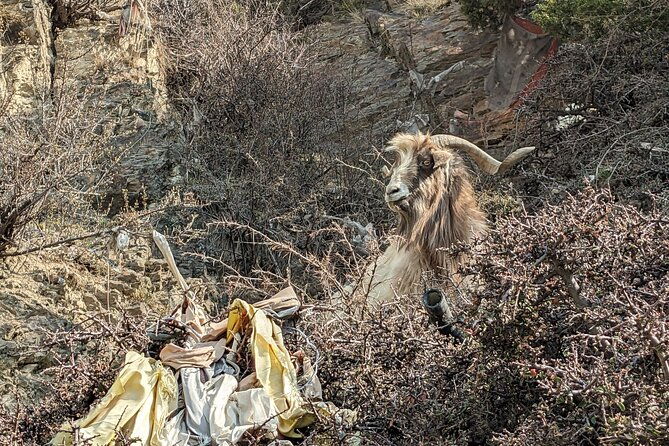 Private Annapurna Circuit Trek - Summary of Experience