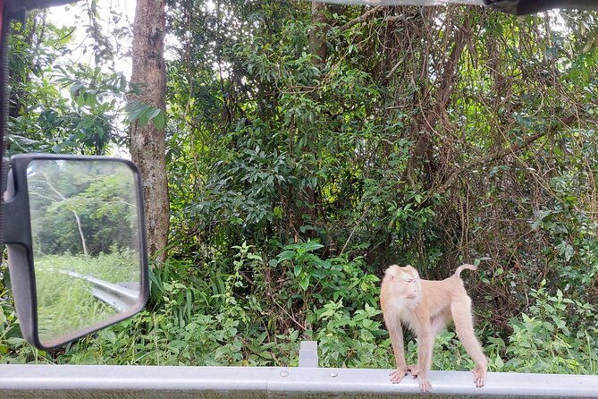 Private Bokor tours by an experienced local guide - Who Is This Tour Best For?