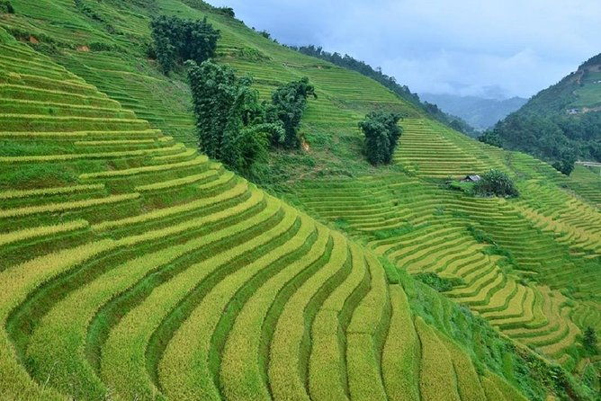 Private Car and Tour Guide Exploring Northern Vietnam - Final Thoughts