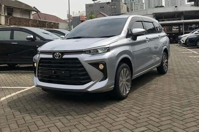 Private Car Transportation in Bali from Ubud - Who Is This Best For?