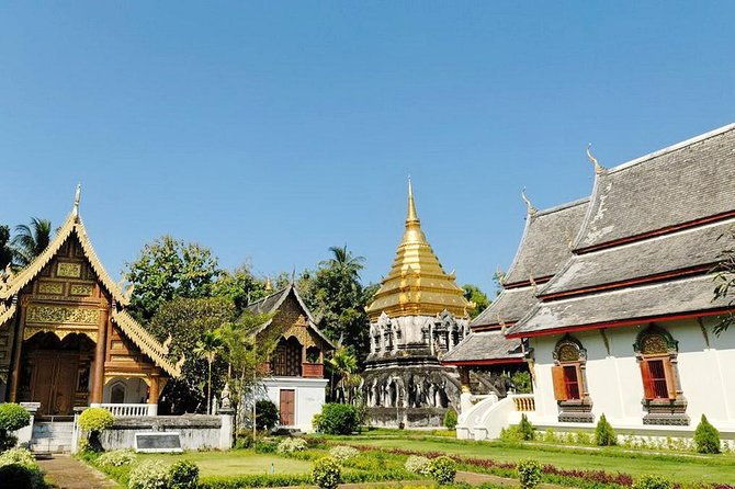 Private Chiang Mai City Tour including Wat Doi Suthep, Wat Suan Dok (SHA Plus) - Wat Chiang Man — The Oldest Temple in Chiang Mai